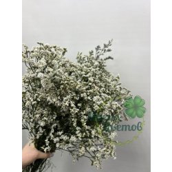 Лимониум цвет микс